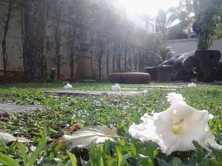 Pa Khlok Green House Phuket מראה חיצוני תמונה